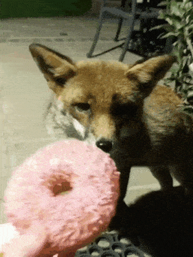 Clickable GIF
